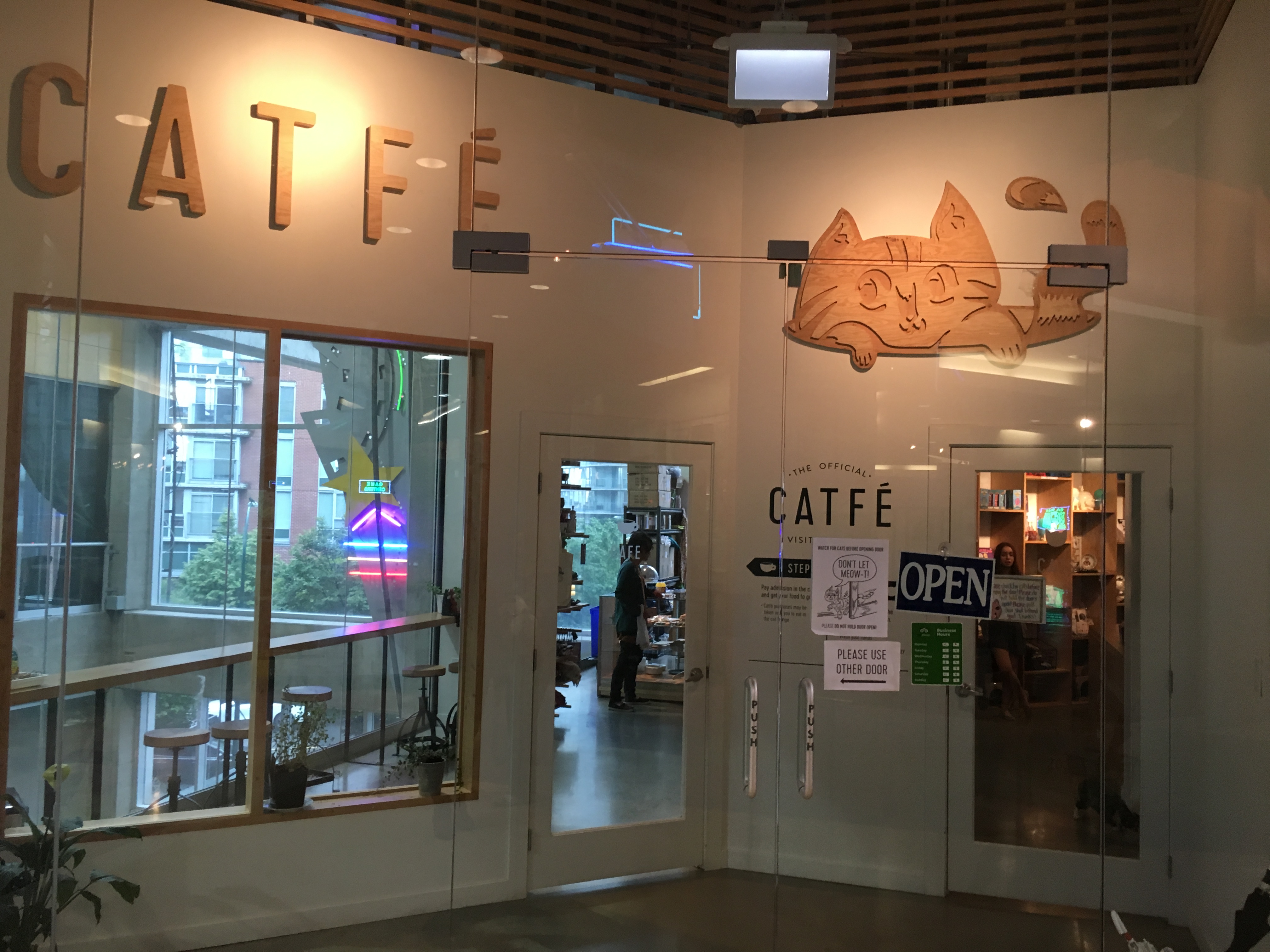 Catfé - Bar de Gatinhos Fofinhos em Vancouver - Voyage Vip